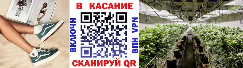  Cocaine Кедровый
