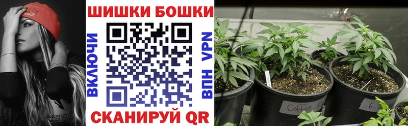 Марихуана VHQ  сколько стоит  kraken tor  Кедровый 
